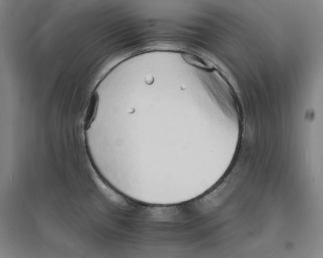 X0000094061433200711161514