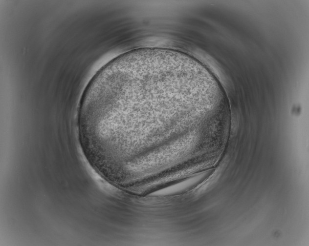 X0000094061434200711161514