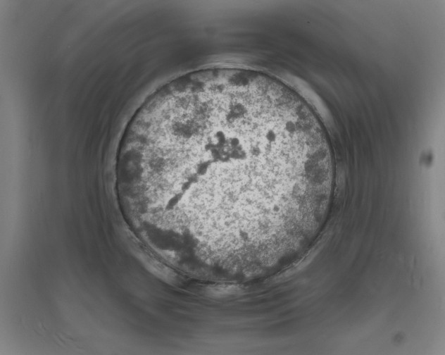 X0000094061435200711161514