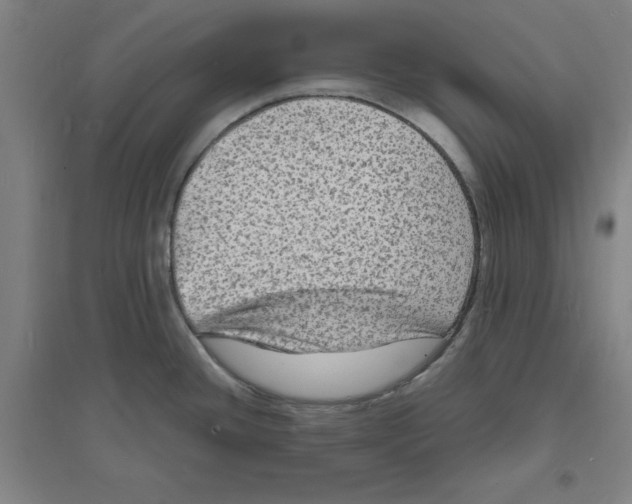 X0000094061436200711161514