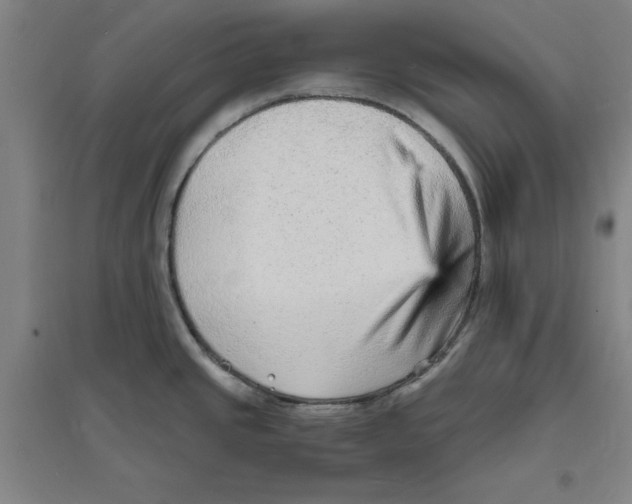 X0000094061437200711161514