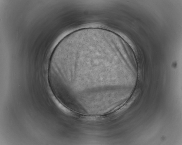 X0000094061438200711161514