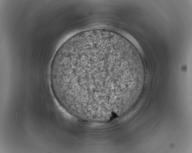 X0000094061439200711161514