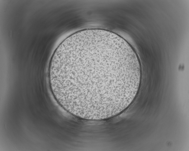 X0000094061440200711161514