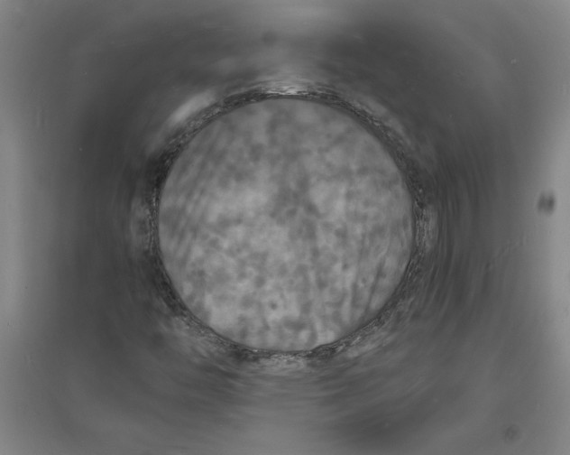 X0000094061446200711161514