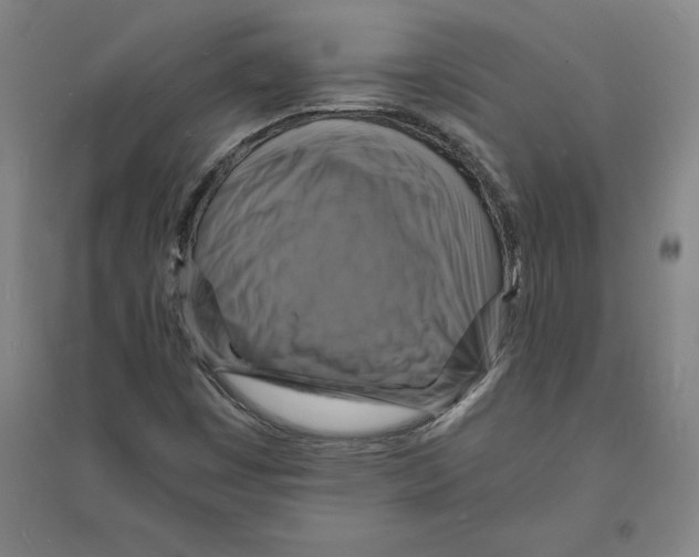 X0000094061449200711161513