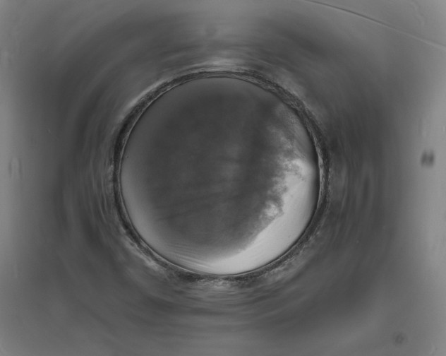 X0000094061450200711161513