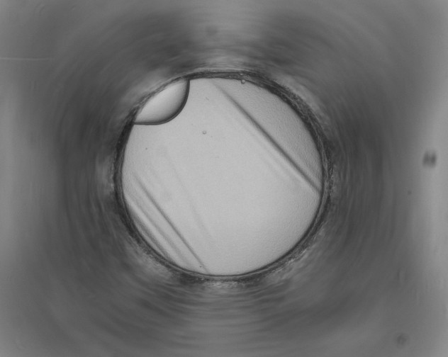 X0000094061451200711161513