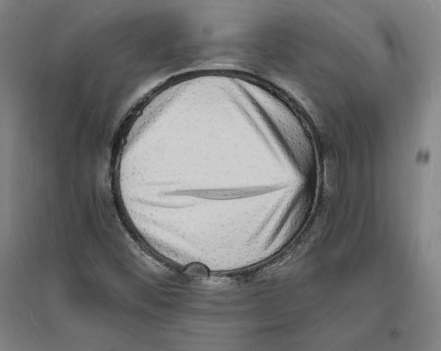 X0000094061452200711161513