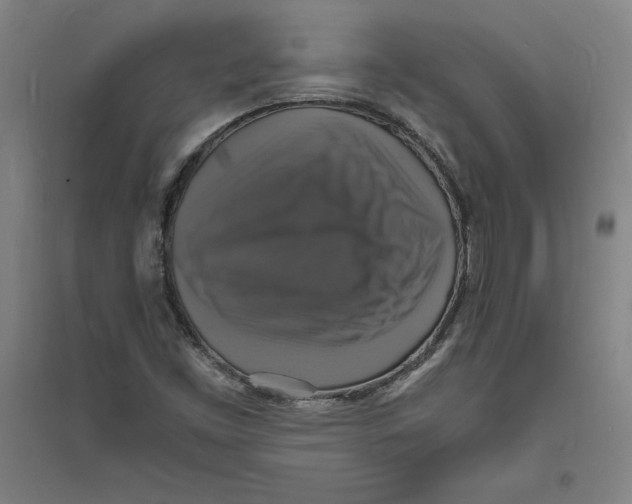 X0000094061453200711161513