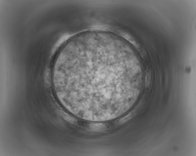 X0000094061454200711161513