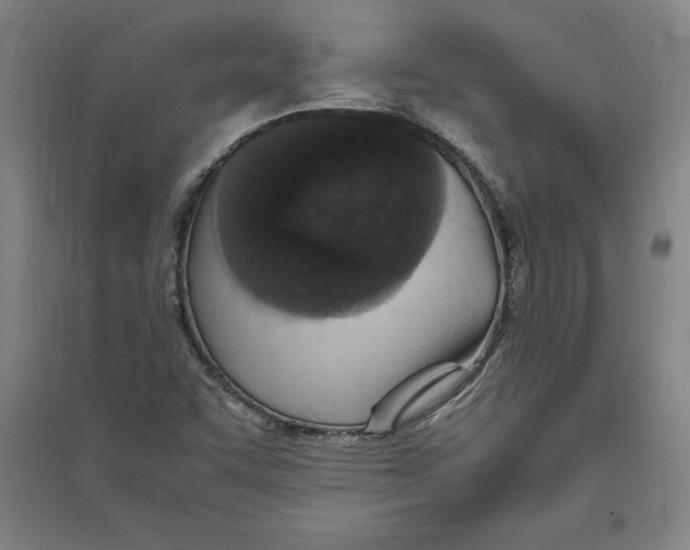 X0000094061455200711161513