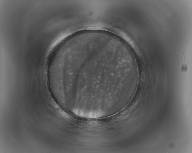 X0000094061456200711161513