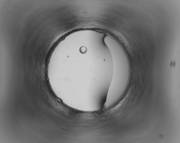 X0000094061457200711161513