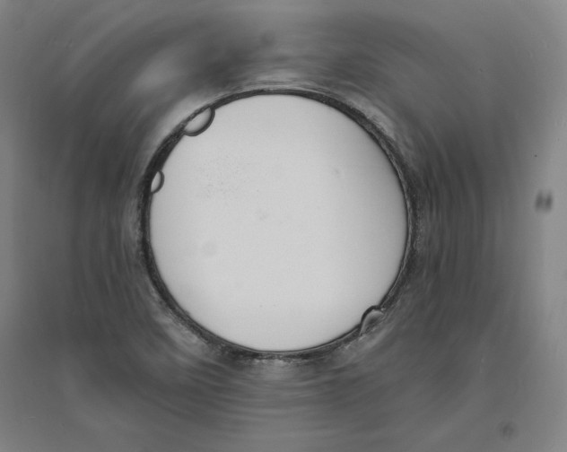 X0000094061458200711161513