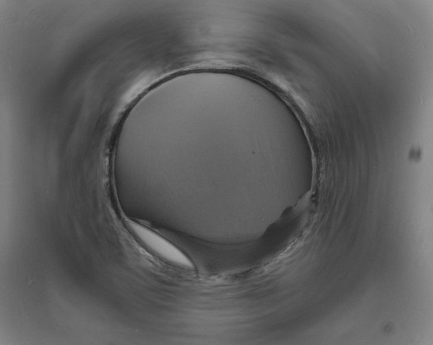 X0000094061459200711161513