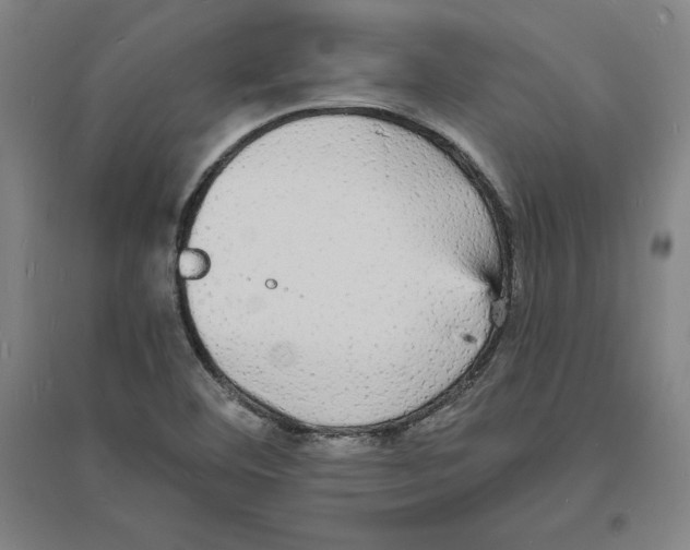 X0000094061460200711161513