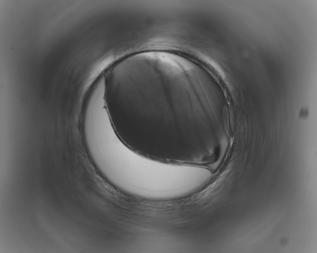 X0000094061461200711161513