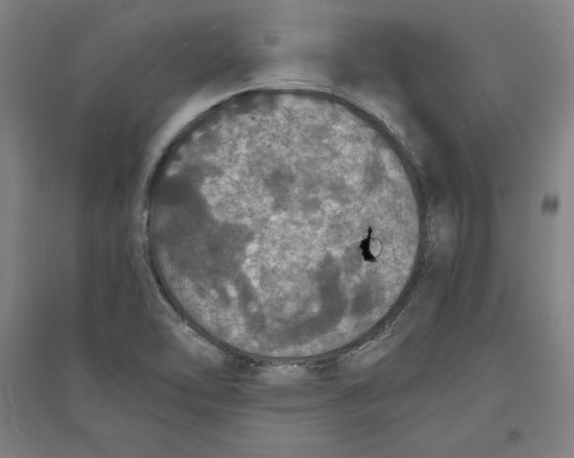 X0000094061462200711161513