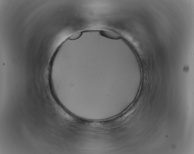 X0000094061463200711161513