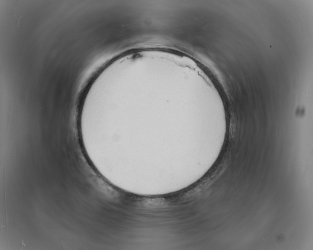 X0000094061464200711161513