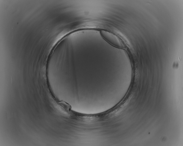 X0000094061465200711161513