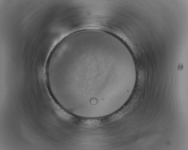 X0000094061466200711161513