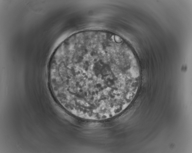 X0000094061467200711161513