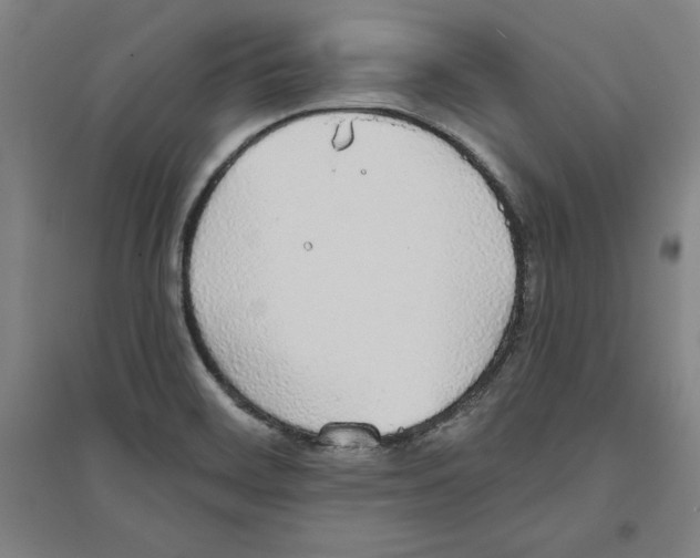 X0000094061468200711161513