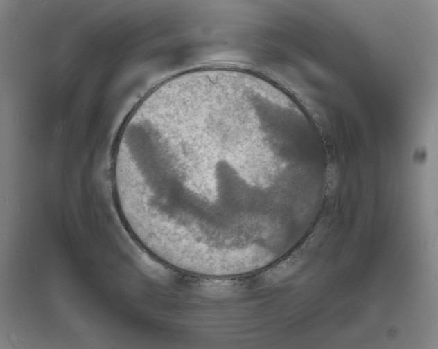 X0000094061470200711161513