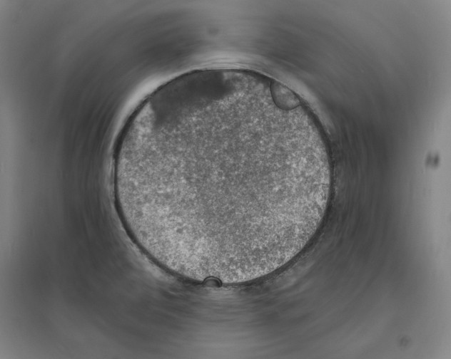 X0000094061472200711161513