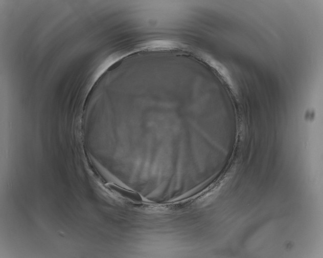 X0000094061473200711161513