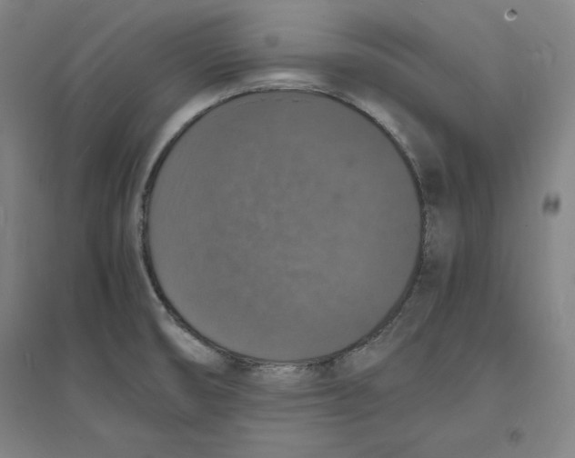 X0000094061474200711161513