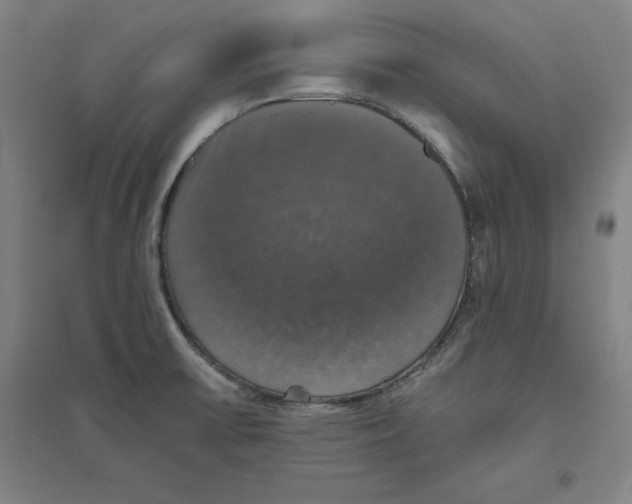 X0000094061475200711161513