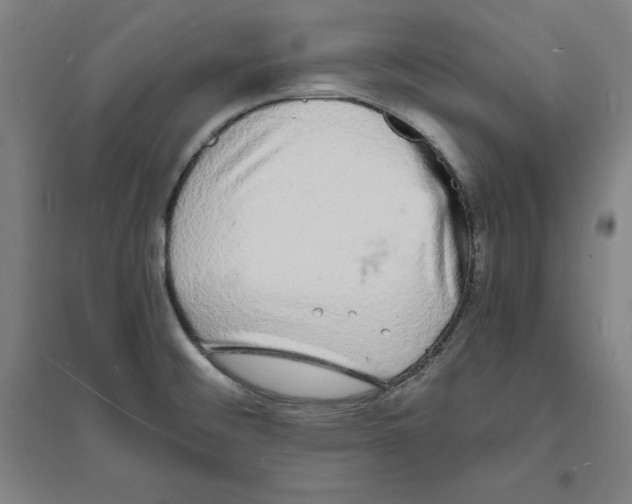 X0000094061476200711161513