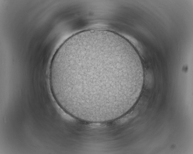 X0000094061478200711161513