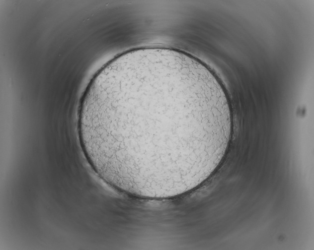 X0000094061480200711161513