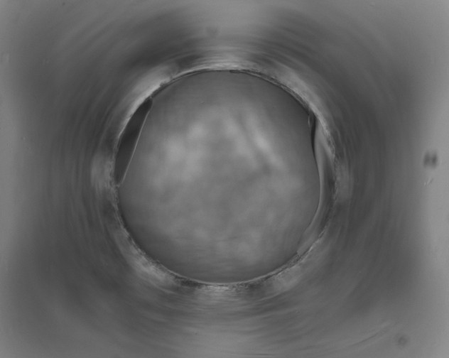 X0000094061481200711161513