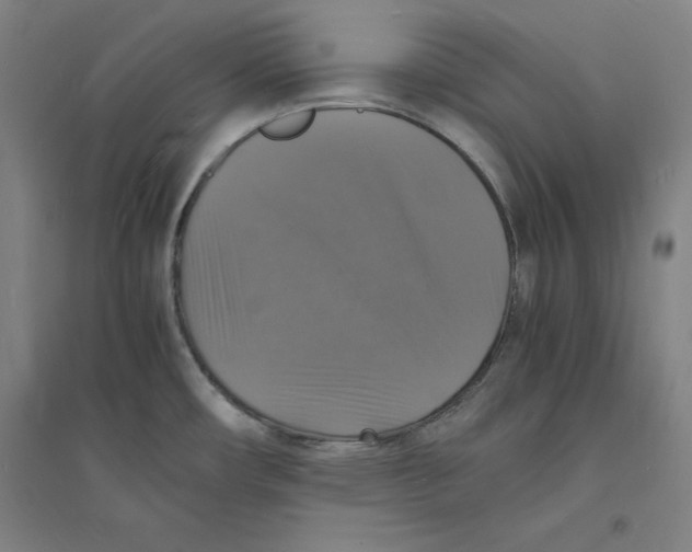 X0000094061482200711161513