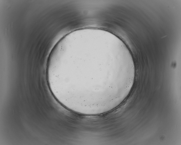 X0000094061483200711161513