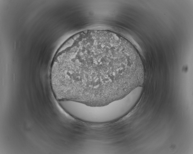 X0000094061484200711161513