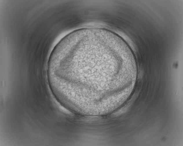 X0000094061486200711161513