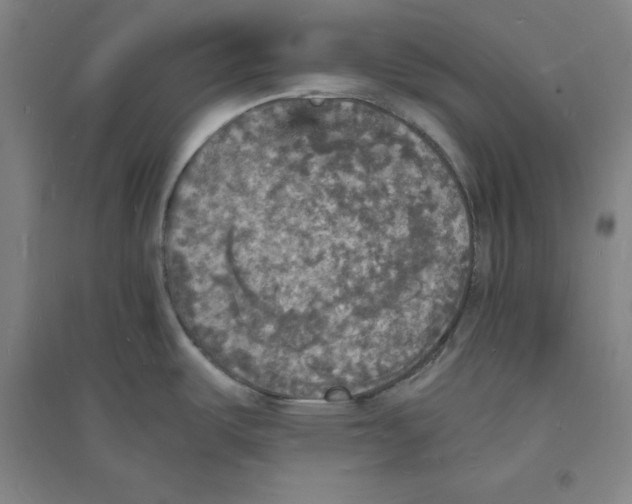 X0000094061487200711161513