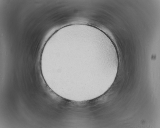 X0000094061488200711161513