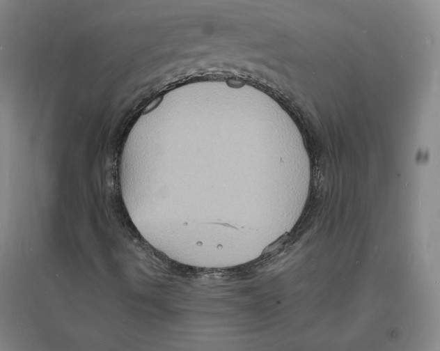 X0000094061490200711161512