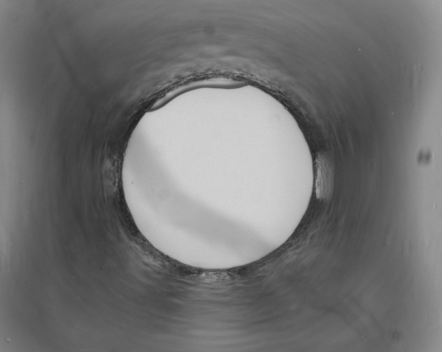 X0000094061491200711161512