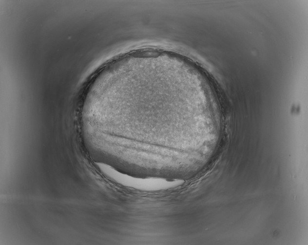 X0000094061496200711161512