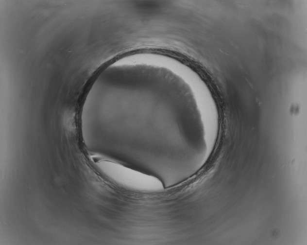 X0000094061497200711161512