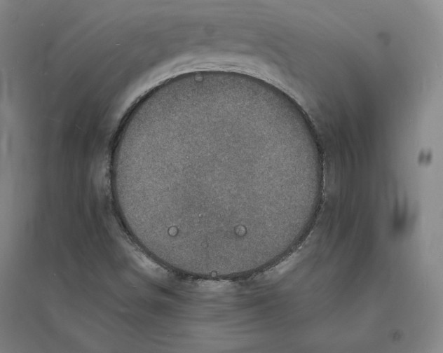 X0000094061498200711161512