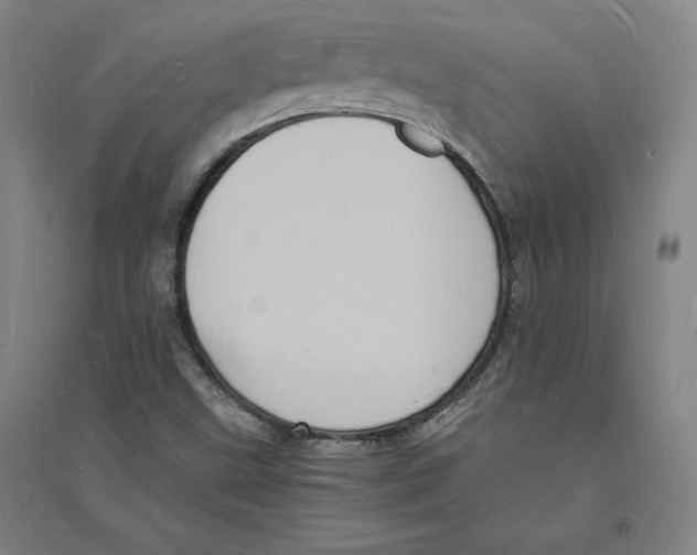 X0000094061499200711161512